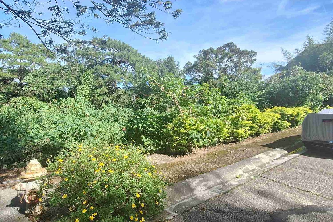 Land for Sale in Pinsao Proper, Baguio, Benguet