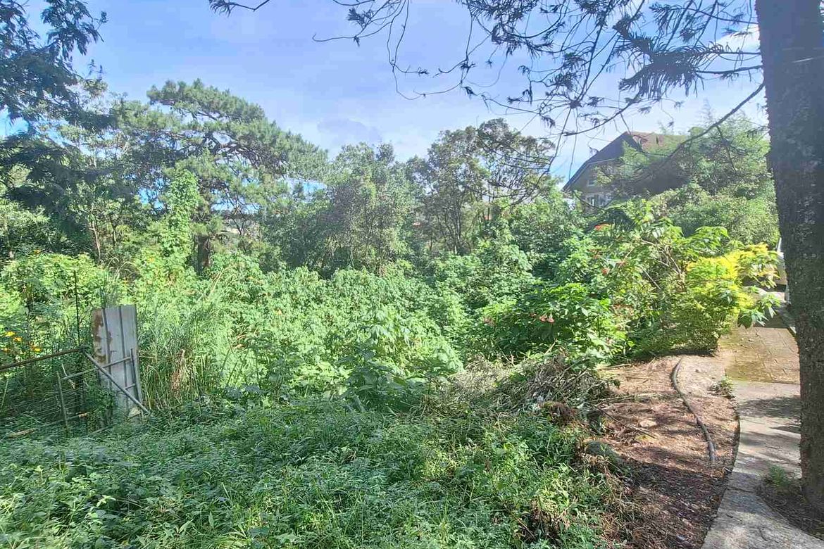 Land for Sale in Pinsao Proper, Baguio, Benguet – photo 3