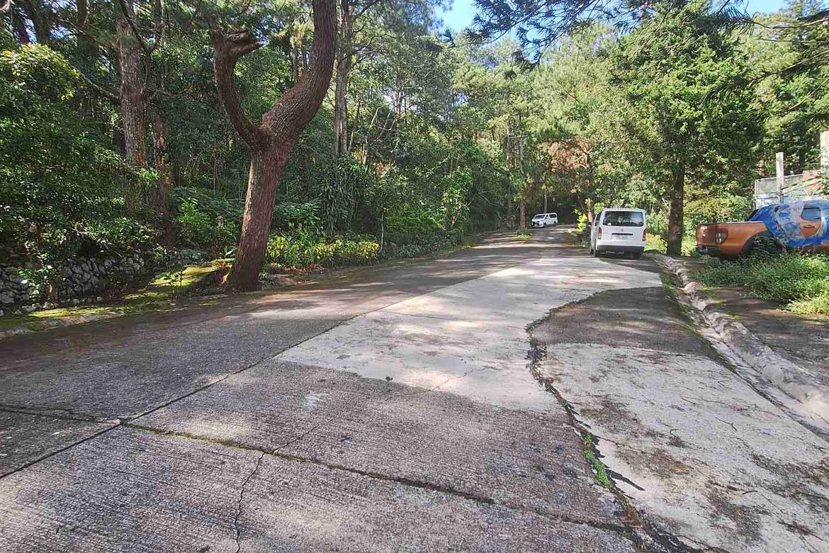 Land for Sale in Pinsao Proper, Baguio, Benguet – photo 4