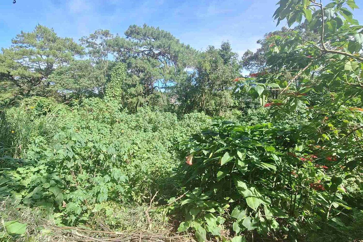 Land for Sale in Pinsao Proper, Baguio, Benguet – photo 8