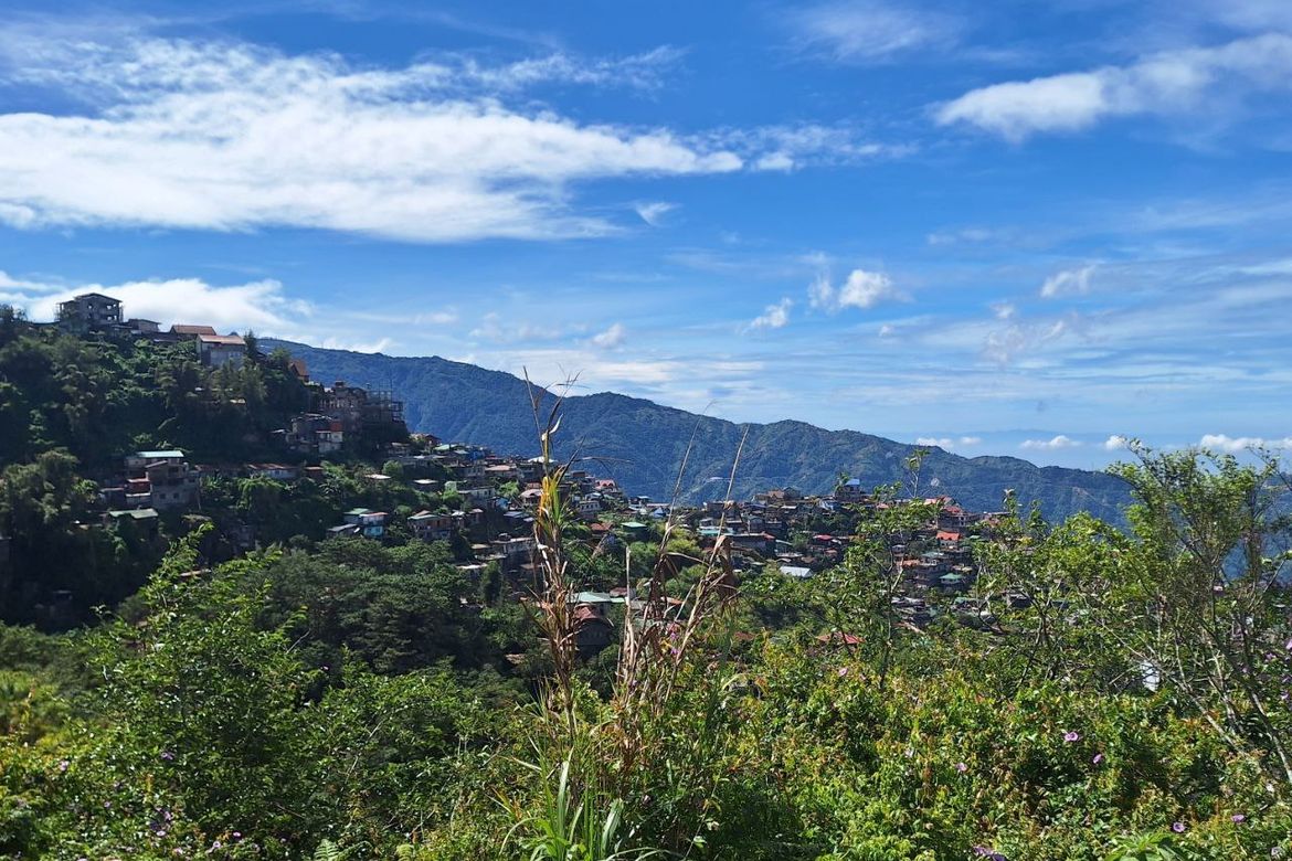 Land for Sale in Pinsao Proper, Baguio, Benguet – photo 6