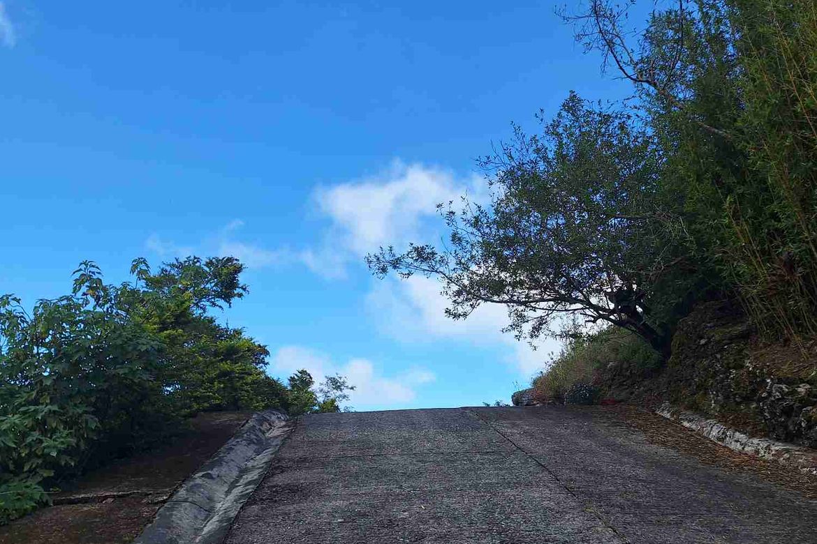 Land for Sale in Pinsao Proper, Baguio, Benguet – photo 2