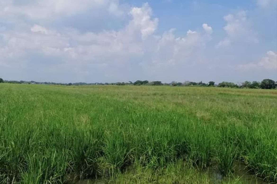 Land for Sale in Pio Cruzcosa, Calumpit, Bulacan