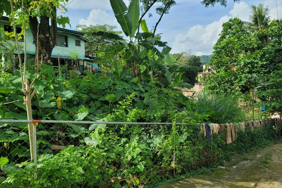Land for Sale in Pit-Os, Cebu City, Cebu – photo 3