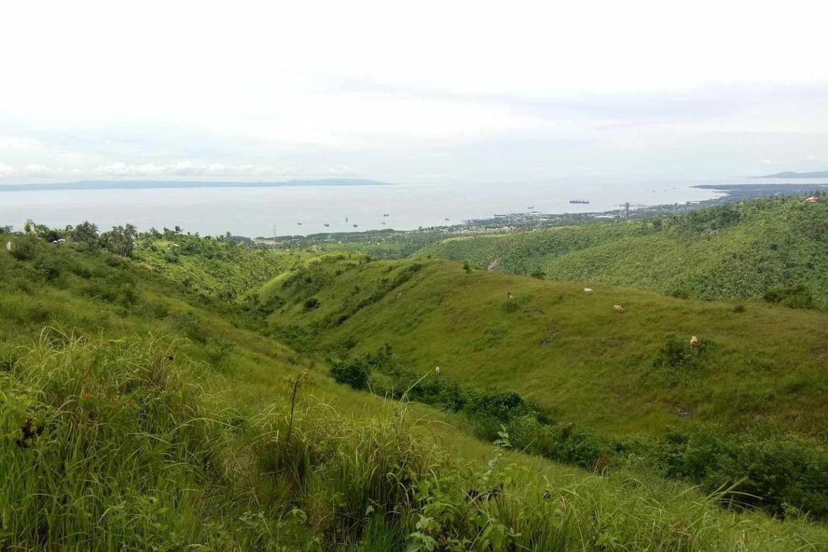 Land for Sale in Pitalo, San Fernando, Cebu