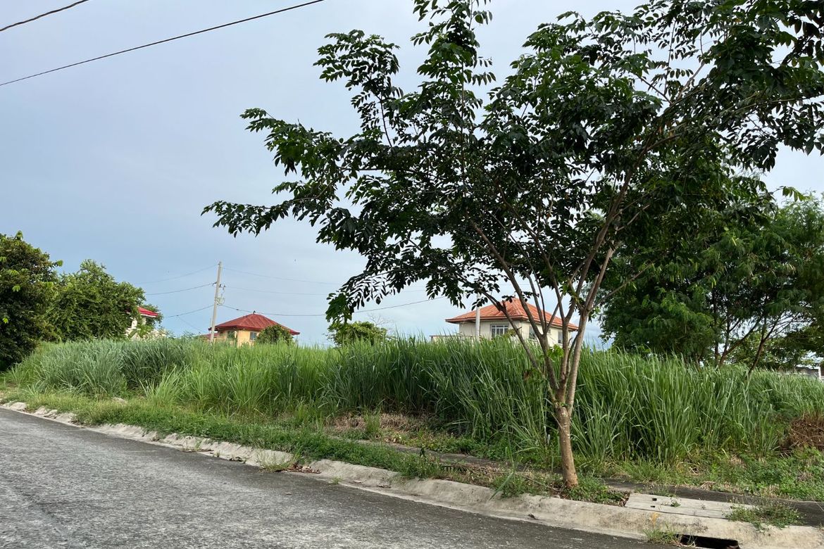 Land for Sale in Pittland, Cabuyao, Laguna – photo 7