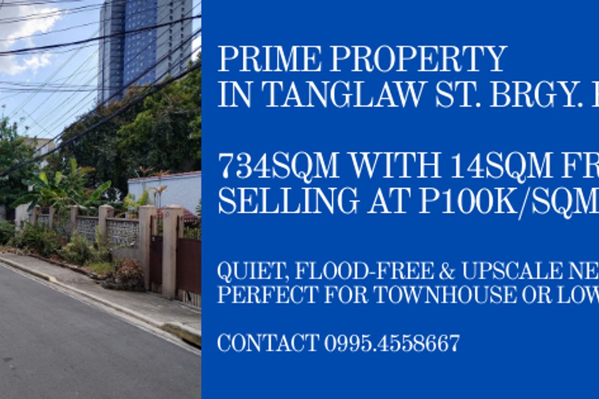 Land for Sale in Plainview, Mandaluyong, Metro Manila