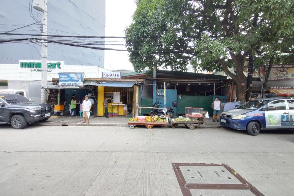 Land for Sale in Plainview, Mandaluyong, Metro Manila – photo 3