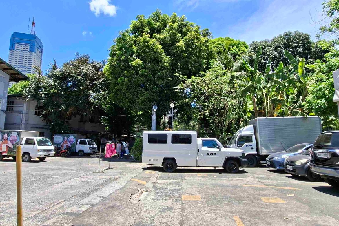 Land for Sale in Plainview, Mandaluyong, Metro Manila near MRT-3 Boni – photo 5
