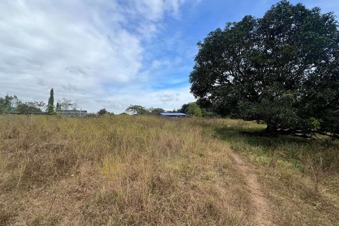 Land for Sale in Planas, Porac, Pampanga – photo 3