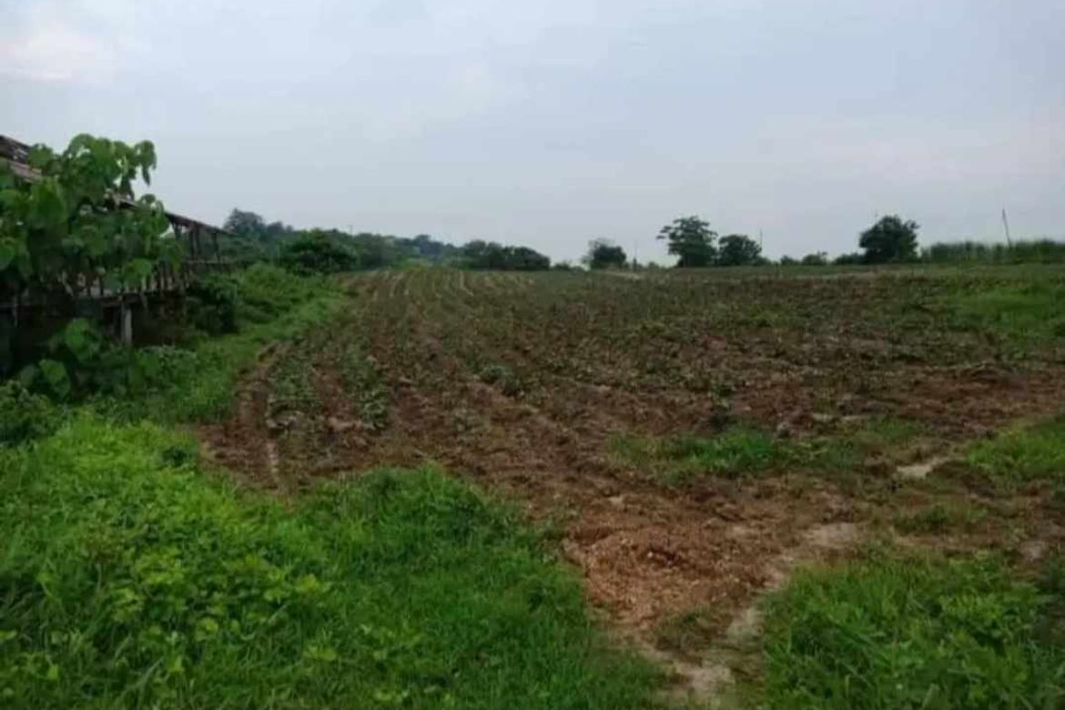 Land for Sale in Planas, Porac, Pampanga – photo 2