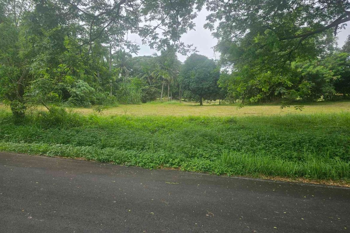 Land for Sale in Plantation Hills at Tagaytay Midlands, Suplang, Tanauan, Batangas – photo 2