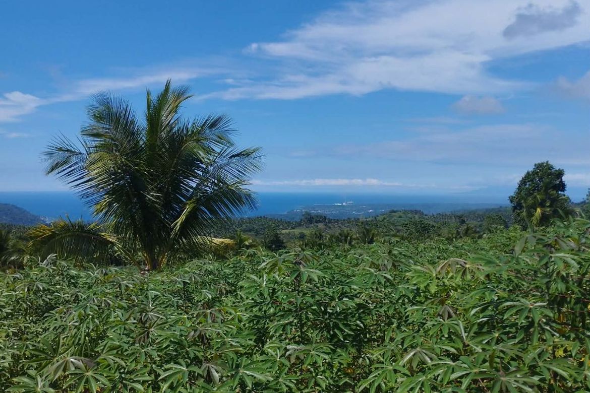 Land for Sale in Plaridel, Claveria, Misamis Oriental – photo 4