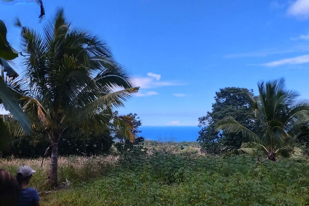 Land for Sale in Plaridel, Claveria, Misamis Oriental – photo 5