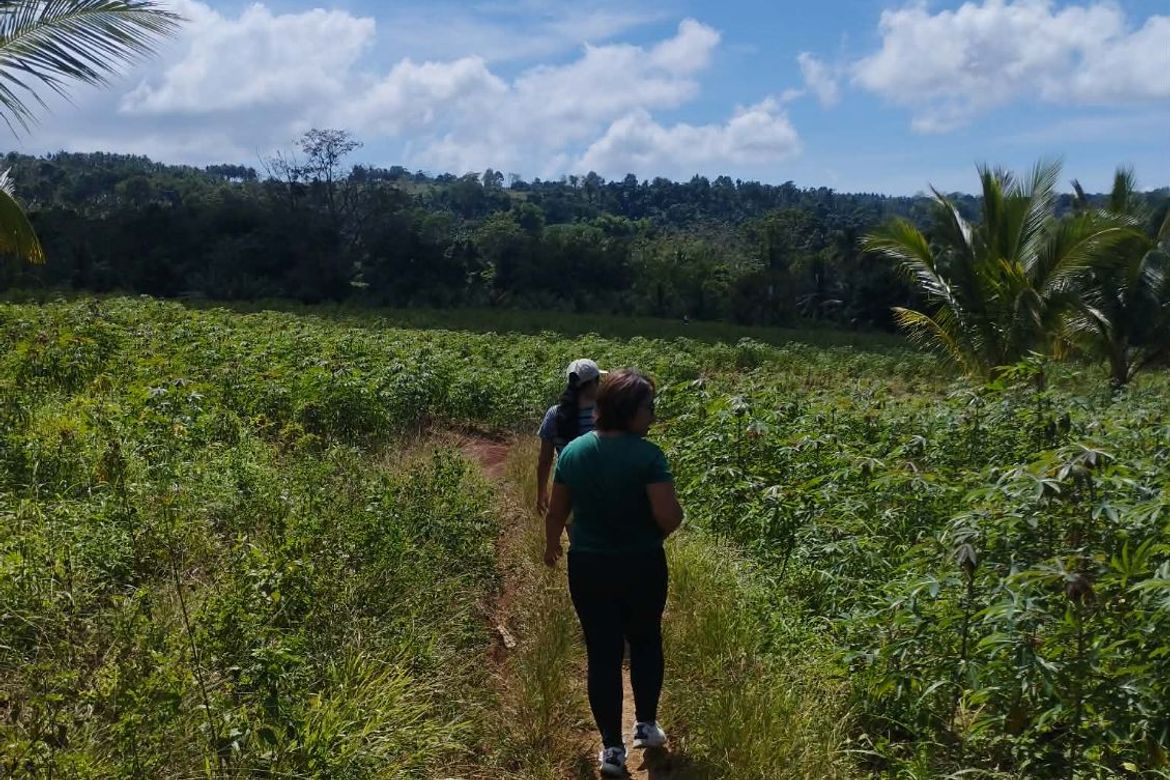 Land for Sale in Plaridel, Claveria, Misamis Oriental – photo 7