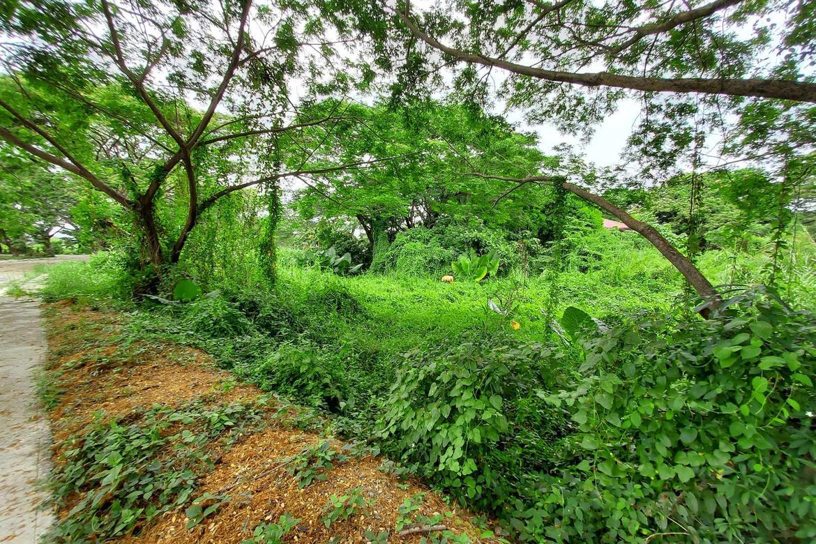 Land for Sale in Plaridel Heights, Pinagtulayan, Norzagaray, Bulacan – photo 2