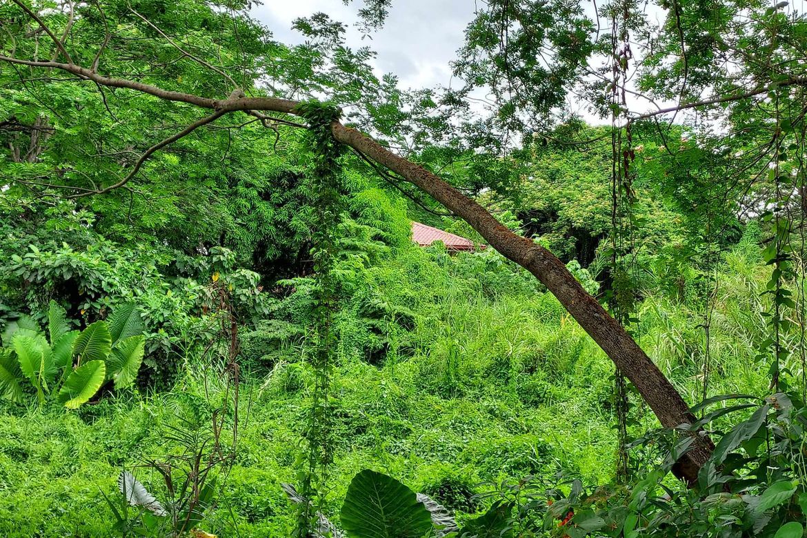 Land for Sale in Plaridel Heights, Pinagtulayan, Norzagaray, Bulacan – photo 6