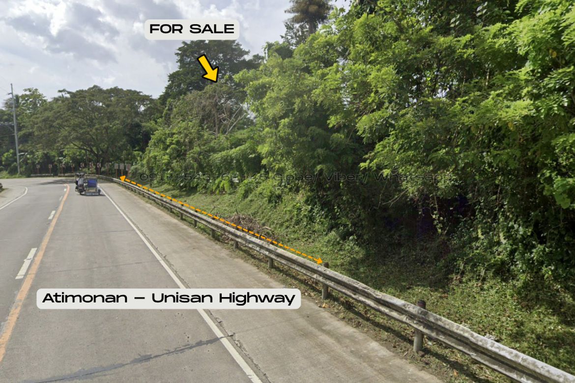 Land for Sale in Plaridel, Unisan, Quezon – photo 2