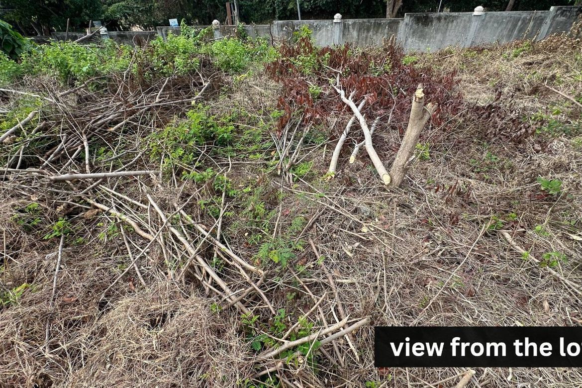 Land for Sale in Playa Calatagan, Barangay 1, Calatagan, Batangas – photo 2