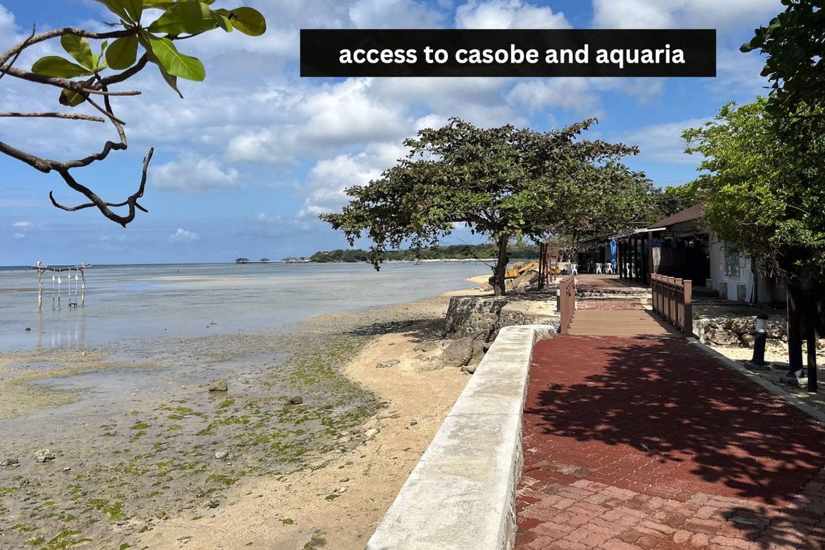 Land for Sale in Playa Calatagan, Barangay 1, Calatagan, Batangas – photo 8