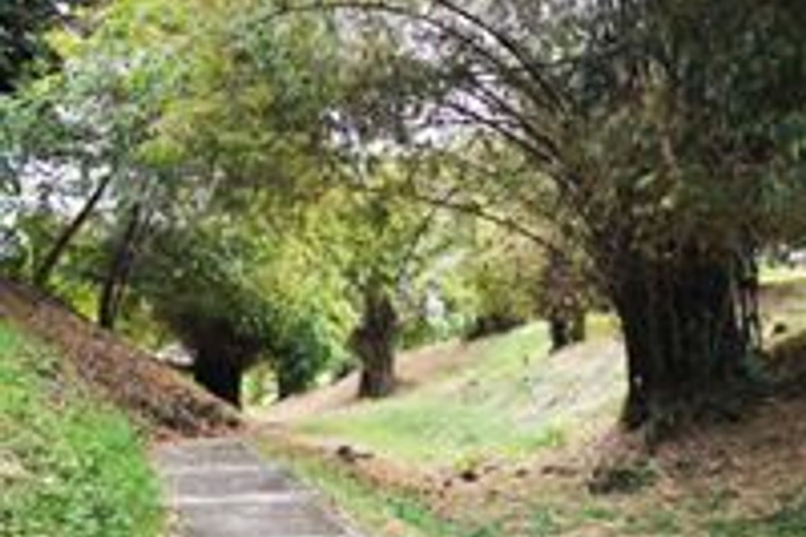 Land for Sale in Playa Calatagan village, Bagong Silang, Calatagan, Batangas – photo 4