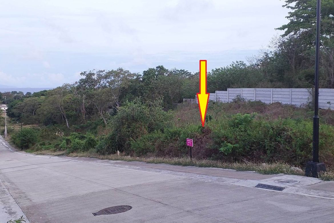 Land for Sale in Playa Calatagan village, Bagong Silang, Calatagan, Batangas