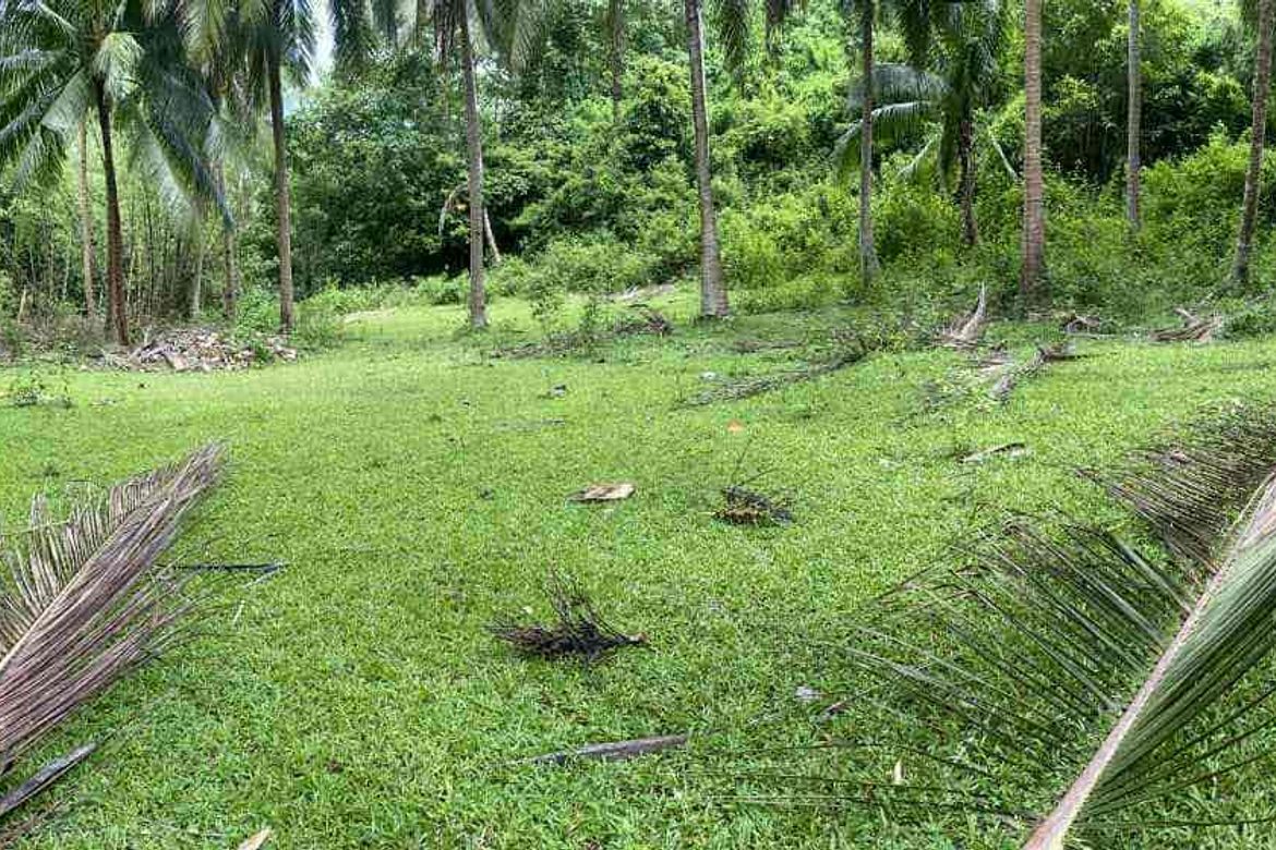 Land for Sale in Playa Laiya, Laiya-Aplaya, San Juan, Batangas – photo 6