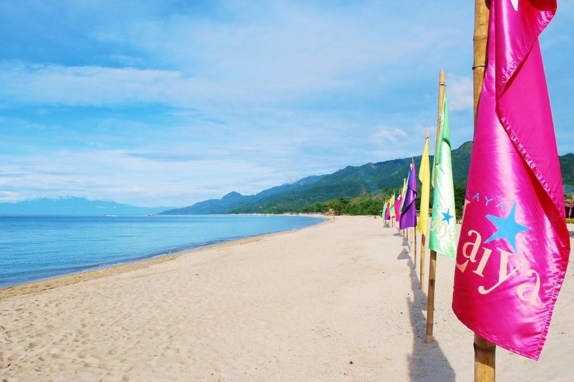 Land for Sale in Playa Laiya, Laiya-Aplaya, San Juan, Batangas – photo 7