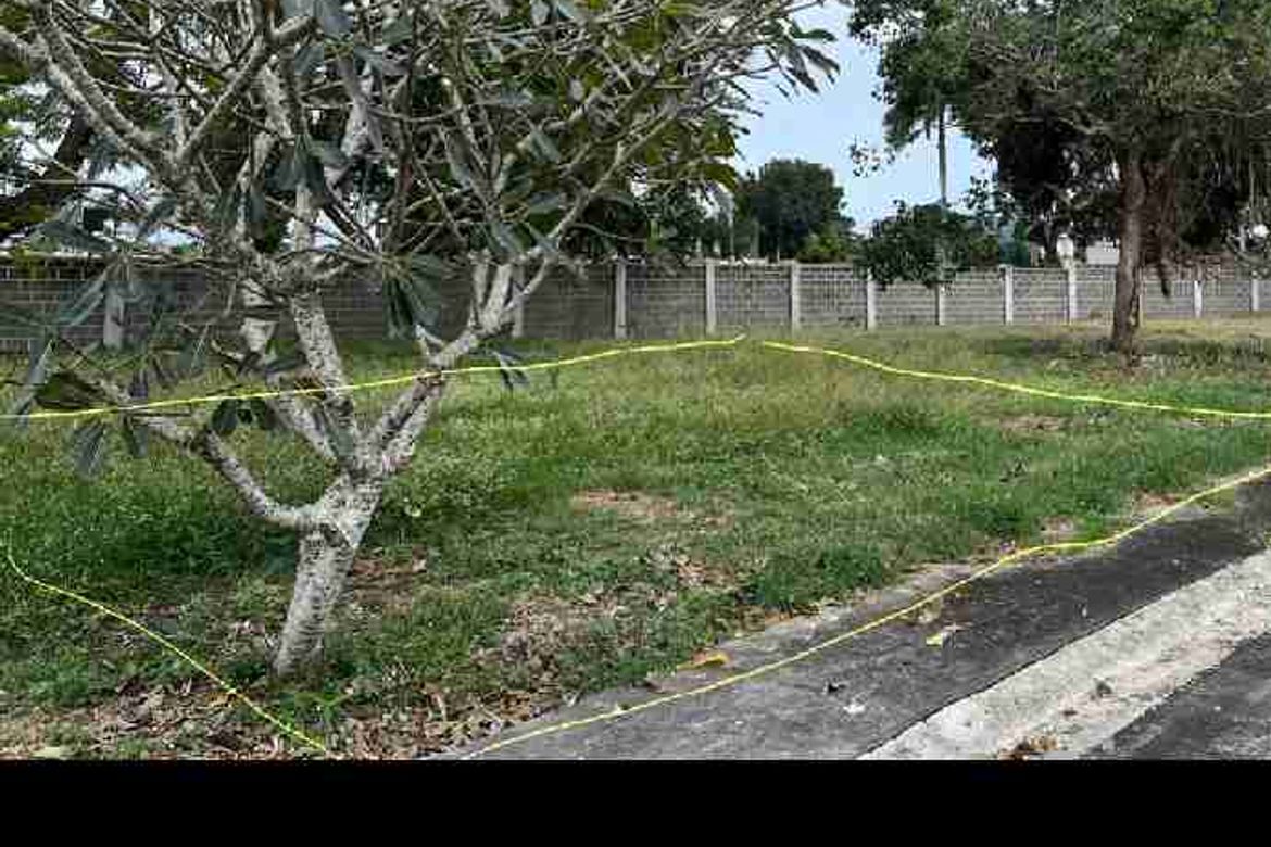 Land for Sale in Playa Laiya, Laiya-Aplaya, San Juan, Batangas – photo 7
