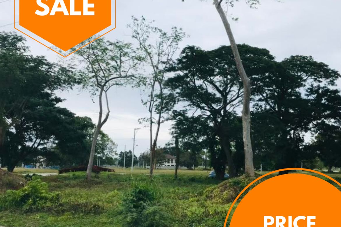 Land for Sale in Playa Laiya, Laiya-Aplaya, San Juan, Batangas