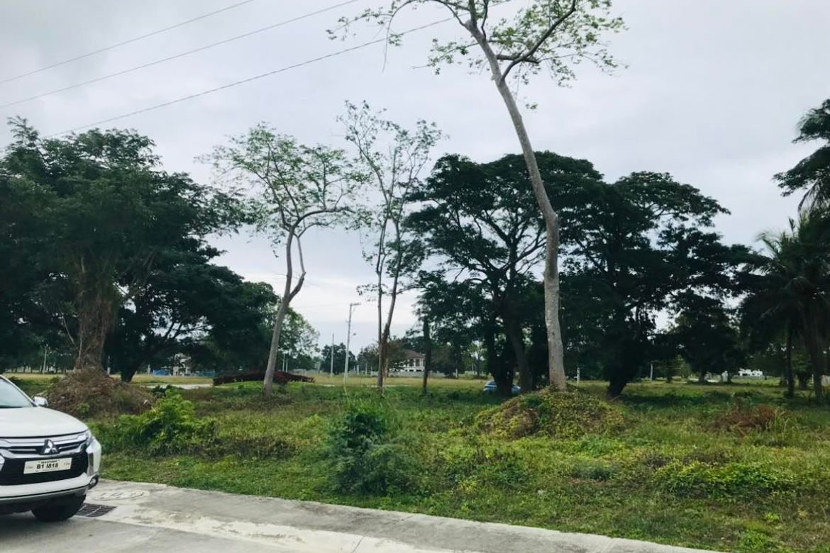 Land for Sale in Playa Laiya, Laiya-Aplaya, San Juan, Batangas – photo 3