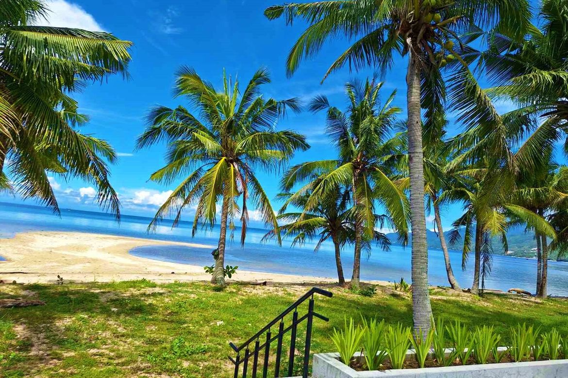 Land for Sale in Playa Laiya, Laiya-Aplaya, San Juan, Batangas – photo 4
