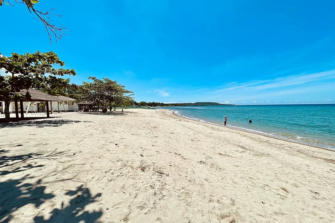 Land for Sale in Playa Laiya, Laiya-Aplaya, San Juan, Batangas – photo 4