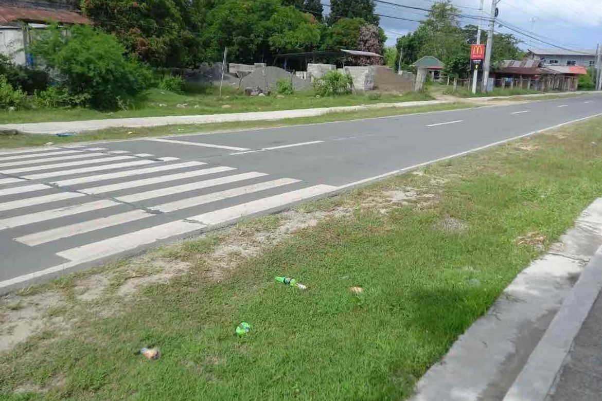 Land for Sale in Playa Laiya, Laiya-Aplaya, San Juan, Batangas – photo 2