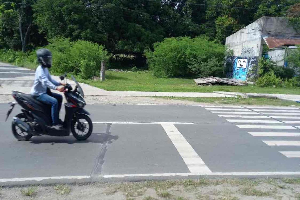 Land for Sale in Playa Laiya, Laiya-Aplaya, San Juan, Batangas – photo 3
