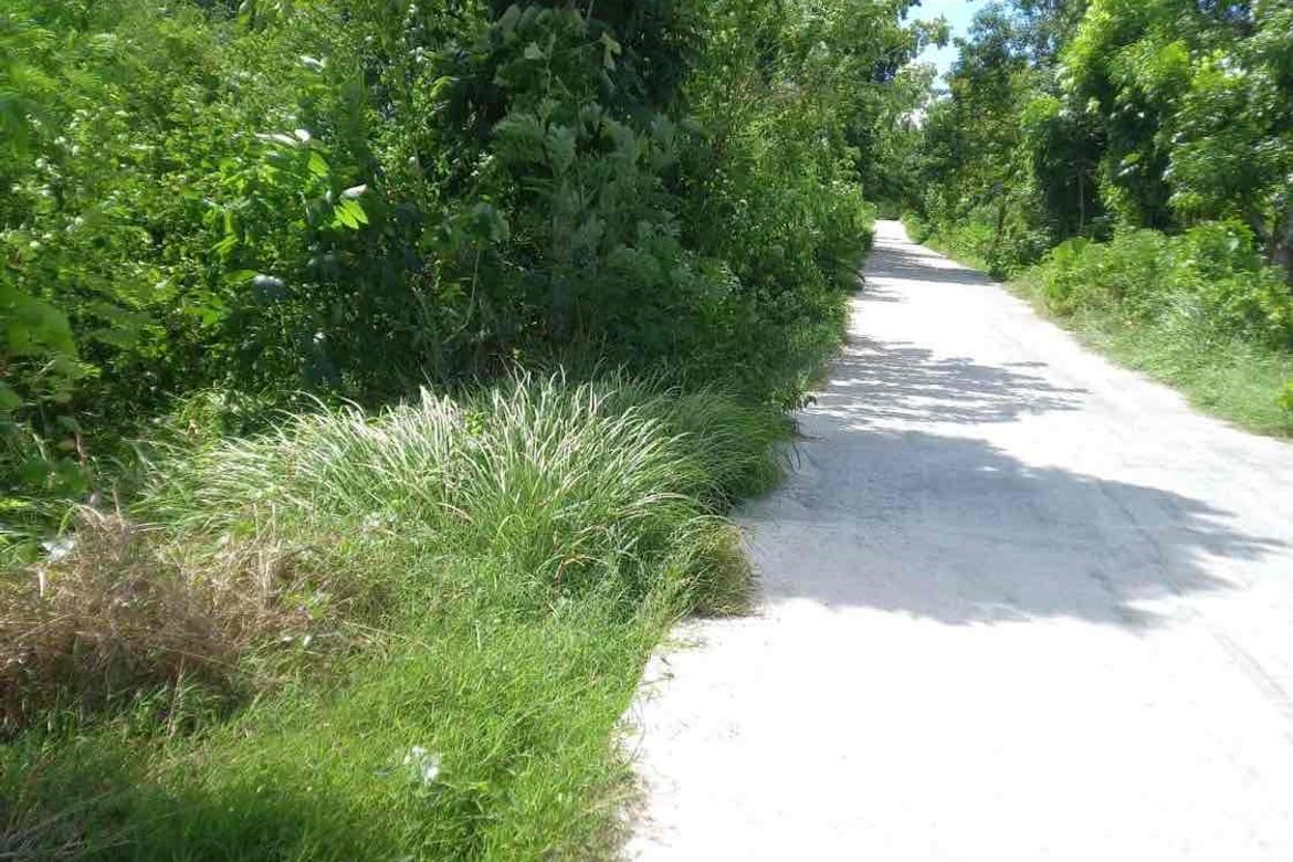 Land for Sale in Playa Laiya, Laiya-Aplaya, San Juan, Batangas – photo 6