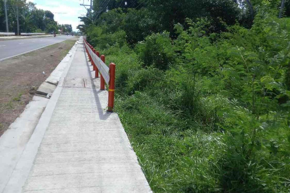 Land for Sale in Playa Laiya, Laiya-Aplaya, San Juan, Batangas – photo 8