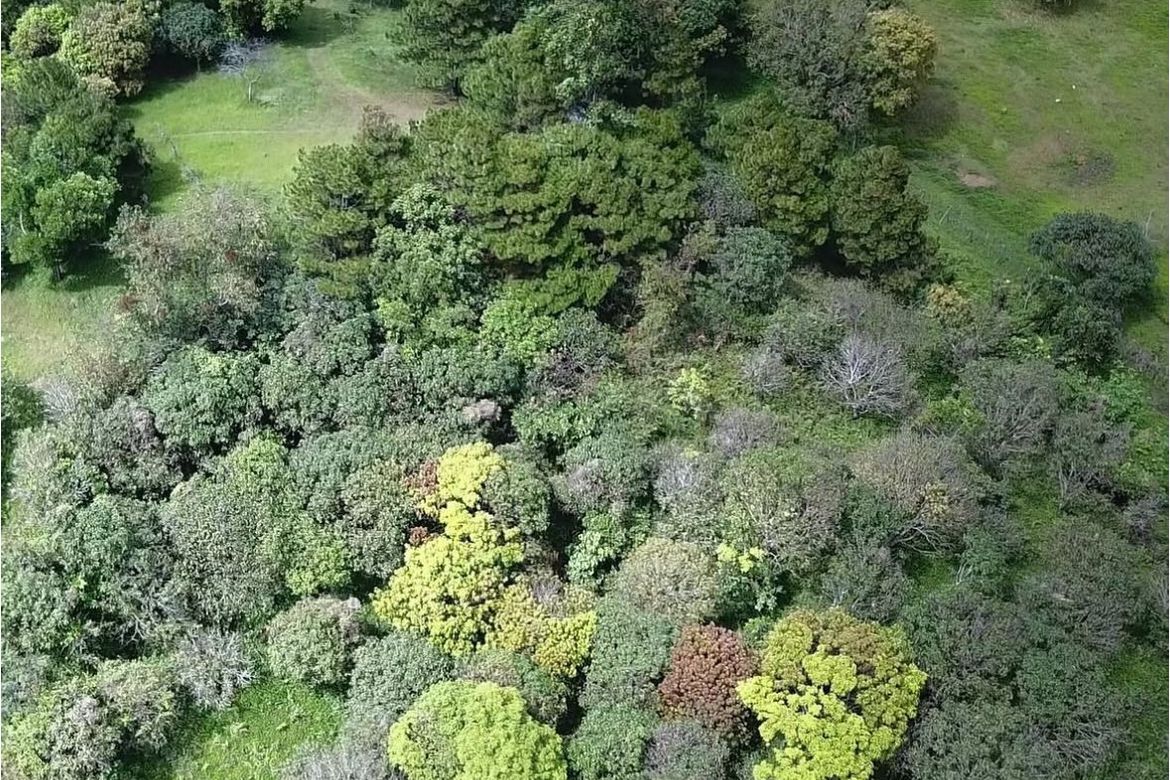 Land for Sale in Plaza Aldea, Tanay, Rizal