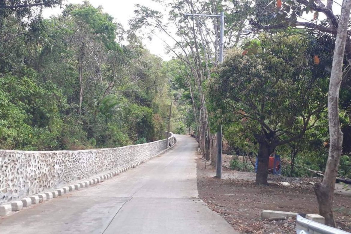 Land for Sale in Plaza Aldea, Tanay, Rizal – photo 2
