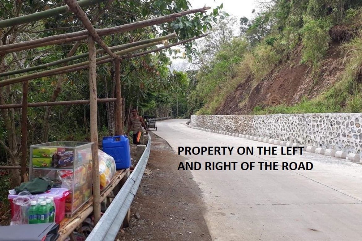 Land for Sale in Plaza Aldea, Tanay, Rizal – photo 3