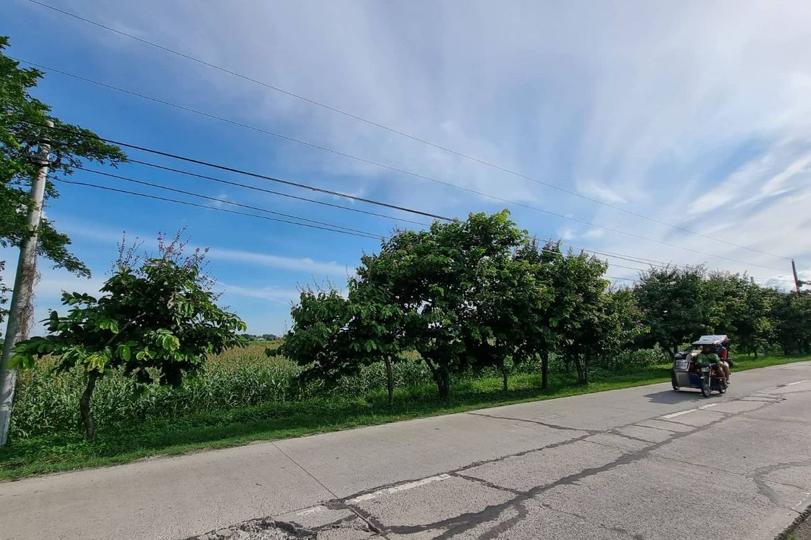 Land for Sale in Plazang Luma, Arayat, Pampanga