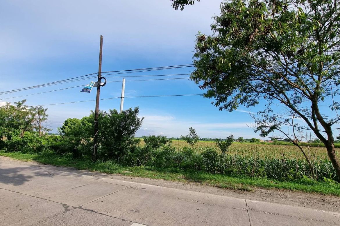 Land for Sale in Plazang Luma, Arayat, Pampanga – photo 6