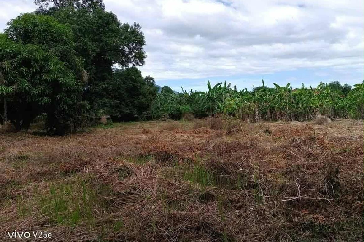Land for Sale in Plazang Luma, Arayat, Pampanga – photo 4