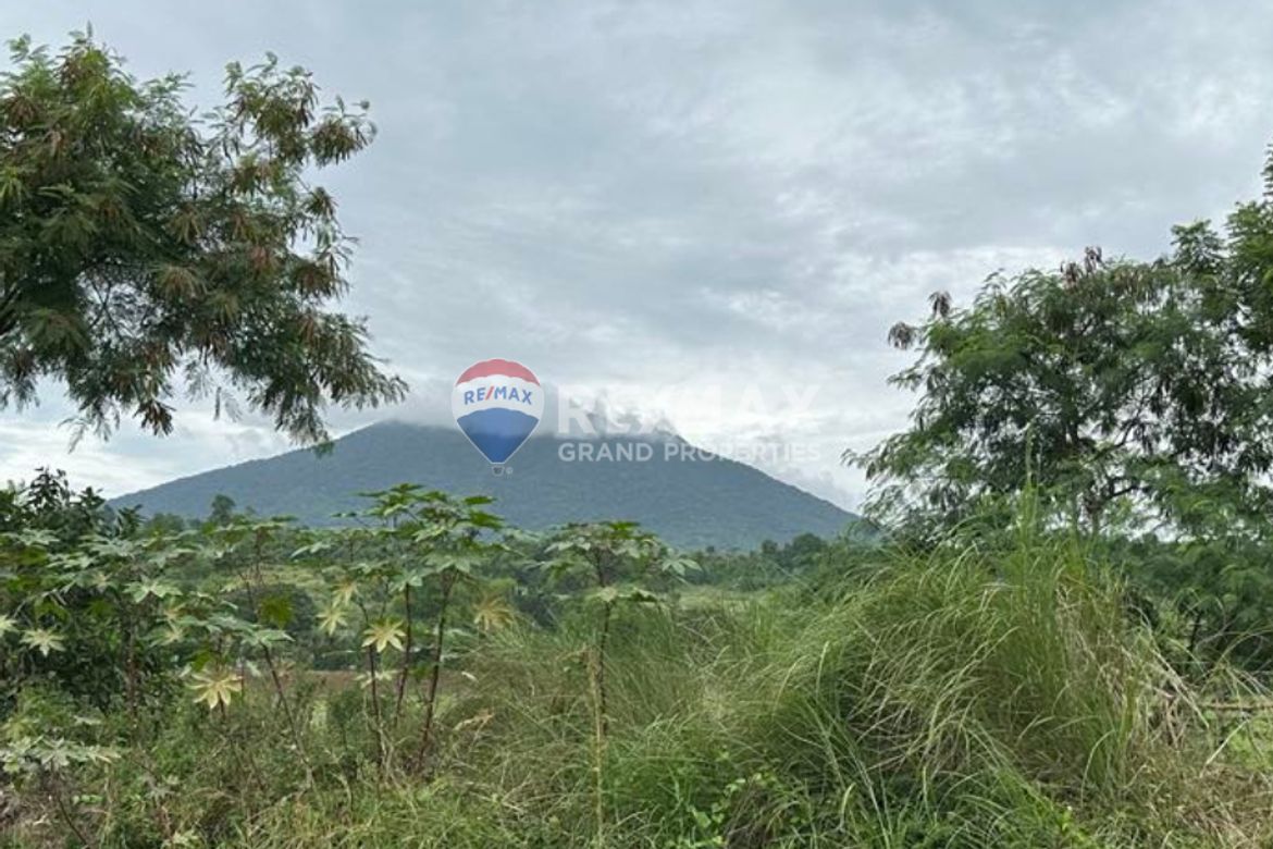 Land for Sale in Plazang Luma, Arayat, Pampanga – photo 2