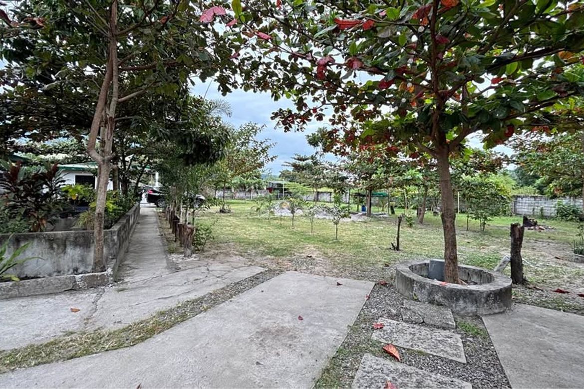 Land for Sale in Plazang Luma, Arayat, Pampanga