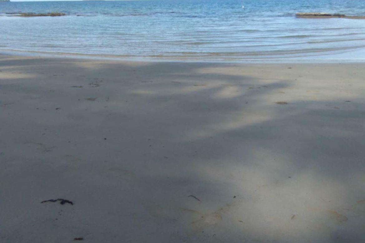 Land for Sale in Poblacion, Aborlan, Palawan – photo 2
