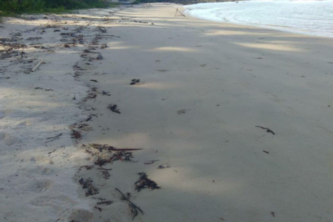 Land for Sale in Poblacion, Aborlan, Palawan – photo 3