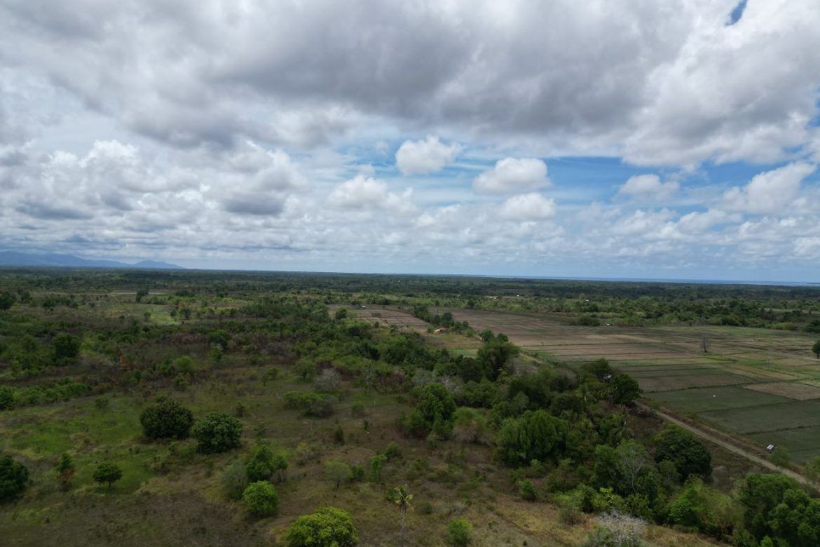 Land for Sale in Poblacion, Aborlan, Palawan