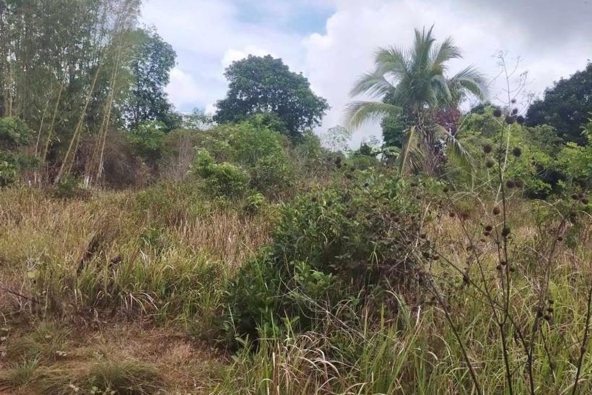 Land for Sale in Poblacion, Aborlan, Palawan – photo 4
