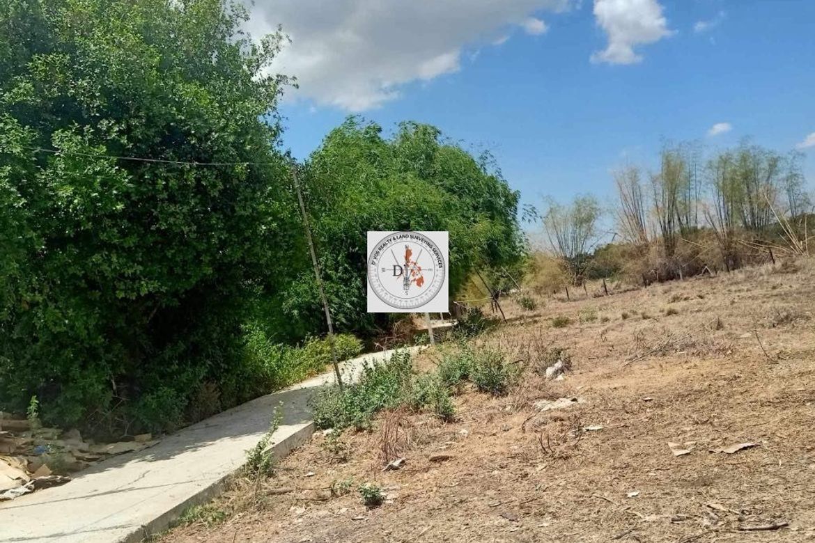 Land for Sale in Poblacion, Alaminos, Pangasinan – photo 8